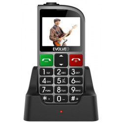 Evolveo EasyPhone EP-800 FD Silver (SGM EP-800-FMS)