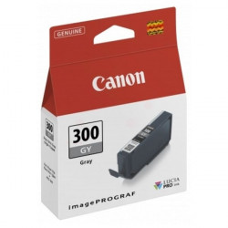 Canon PFI-300 Grey (4200C001)