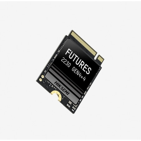 HikSEMI 1TB M.2 2230 NVMe Futures (HS-SSD-FUTURES(STD)/1024G/PCIE4/WW)