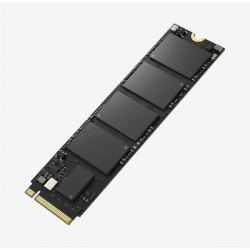 HikSEMI 256GB M.2 2280 NVMe City E1000...