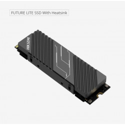 HikSEMI 512GB M.2 2280 NVMe Futurex Lite with Heatsink...