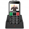 Evolveo EasyPhone EP-851 DualSIM Silver (SGM EP-851-ETS)