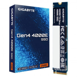 Gigabyte 250GB M.2 2280 NVMe Gen4 4000E (G440E250G)