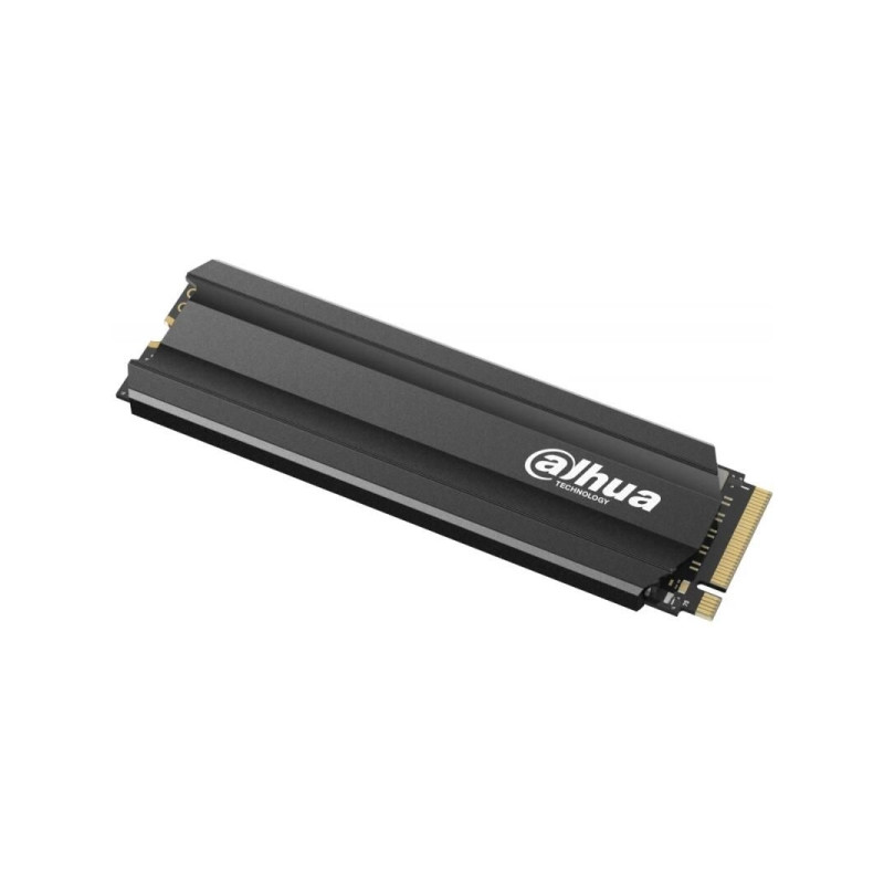 Dahua 1TB M.2 2280 NVMe E900N (DHI-SSD-E900N1TB)