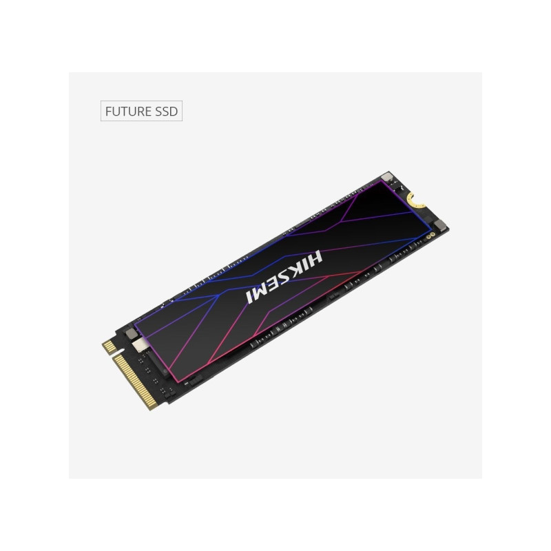 HikSEMI 1TB M.2 2280 NVMe Future (HS-SSD-FUTURE(STD)/1024G/PCIE4/WW)