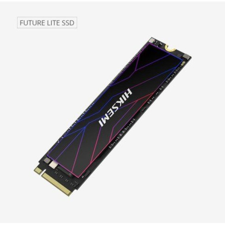 HikSEMI 2TB M.2 2280 NVMe Future Lite (HS-SSD-FUTURE LITE(STD)/2048G/PCIE4/WW) HikSEMI 2TB M.2 2280 NVMe Future Lite (HS-SSD-FUTURE LITE(STD)/2048G/PCIE4/WW)