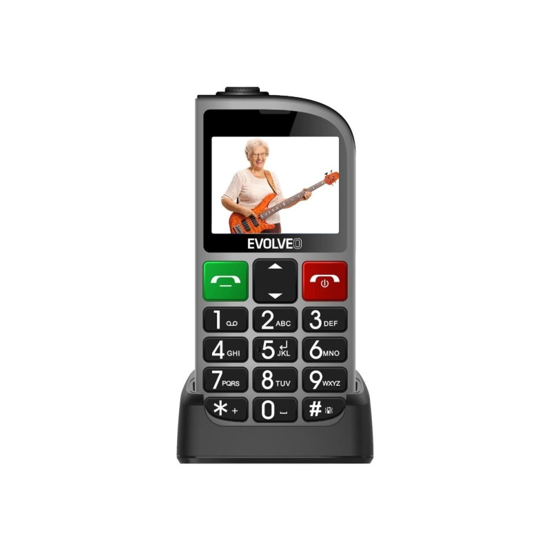 Evolveo EasyPhone EP-801 FL DualSIM Silver (SGM EP-801-FLS)