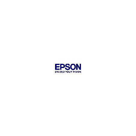 Epson T67100 kit 